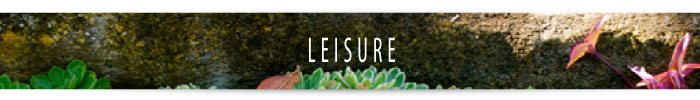 banner_leisure