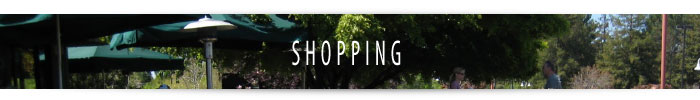 shopping_banner